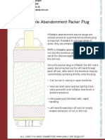 Inflatable Abandonment Packer Plug