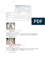 Composicion Harina Integral de Soya