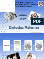 Distocia Maternas PDF