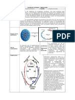 Ficha de Estudio - Virologia - VPH