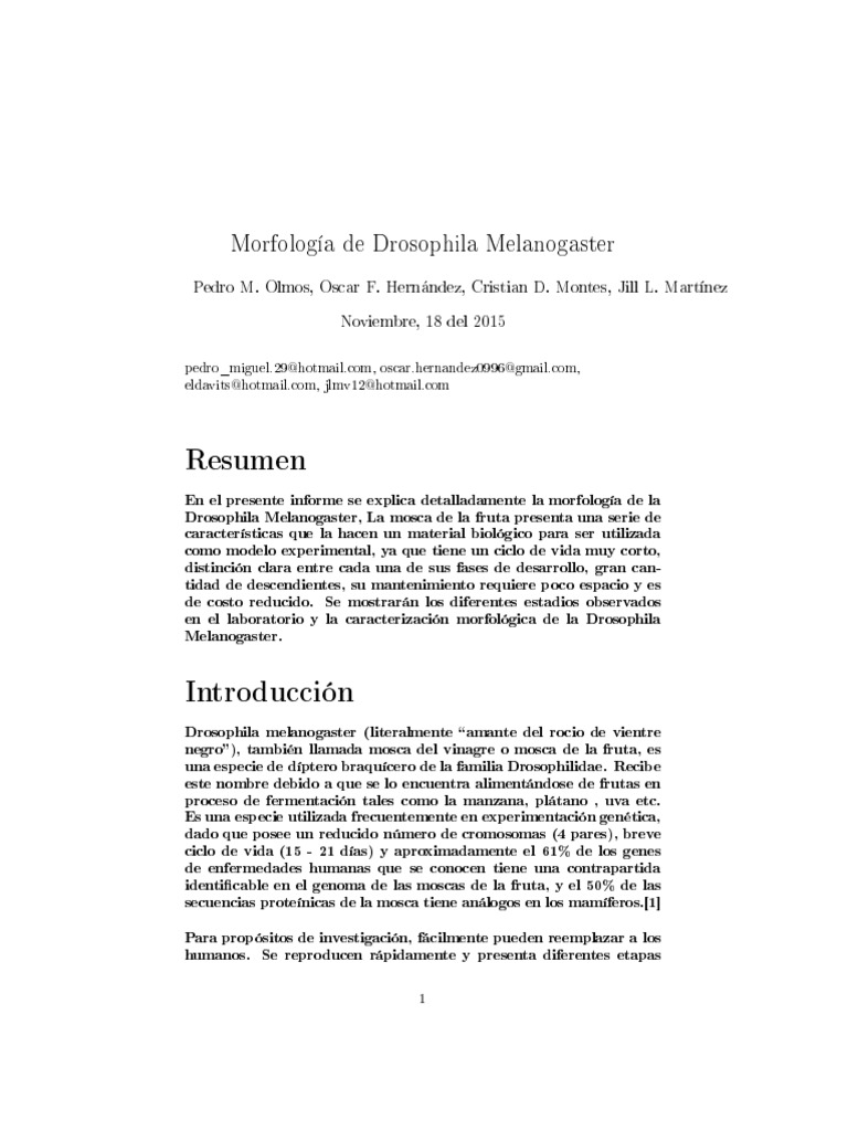 Drosophila | PDF | Drosophila melanogaster | Mosca