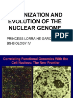 Organization and Evolution of The Nuclear Genome: Princess Lorraine Garcia Bs-Biology Iv