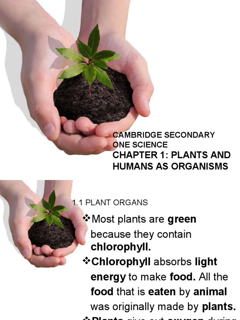 Chapter 1 Plants And Humans As Organisms Cambridge Secondary One Science Human Body Organ