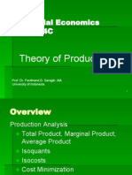 Theory of Production