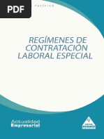 lab-08-regimenes-contratacion.pdf