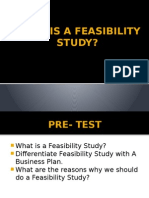 What is a feasibilitystudy