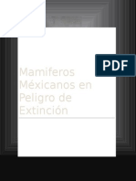 Mamíferos Mexicanos en Peligro de Extinción