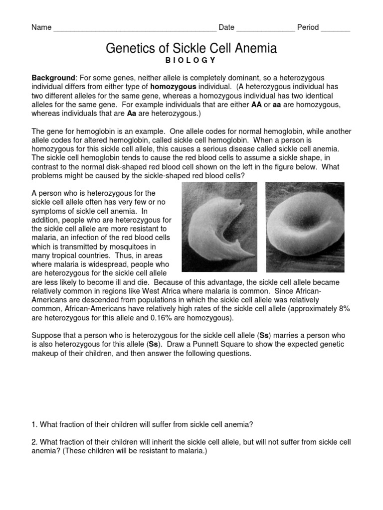 worksheet-genetics-of-sickle-cell-anemia-zygosity-allele