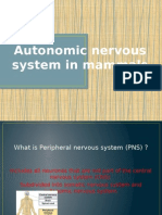 Autonomic Nervous System in Mammals