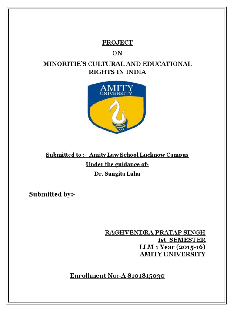 Minoritie's Cultural and Educational Rights in India | PDF | Minority ...