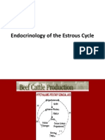 Endocrinology of The Estrous Cycle