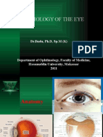 PHYSIOLOGY OF THE EYE IN 40 CHARACTERS
