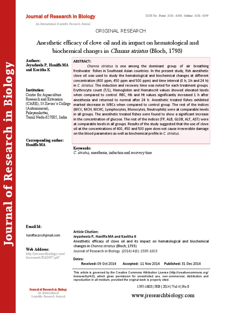 Anesthetic Efficacy of Clove Oil and Its Impact On Hematological and