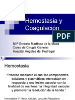 20090715 Hemostasia y Coagulaci n