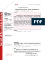 Colletotrichum Gloeosporioides From Mango Ataulfo: Morphological, Physiological, Genetic and Pathogenic Aspects