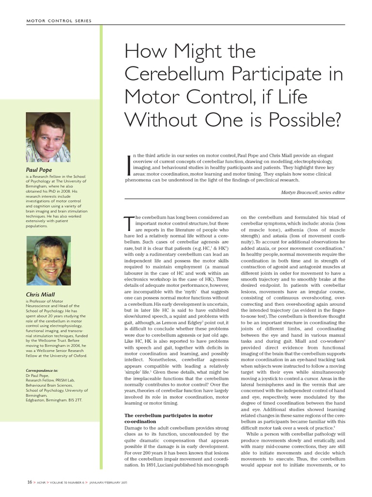 Cerebellum's Role in Motor Control | PDF | Cerebellum | Central Nervous ...