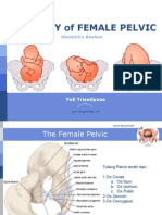 Anatomi Pelvis Obstetri