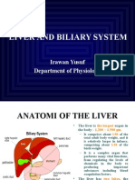 Liver and Biliary System