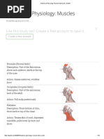 Download Anatomy  Physiology Muscles Flashcards _ Quizlet by malenya1 SN290176134 doc pdf