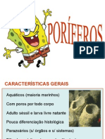 PORIFEROS.ppt