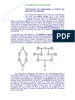 Calculo de F A Partir de Genealogias