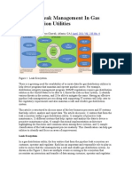 Effective Leak Management in Gas Distribution Utilities