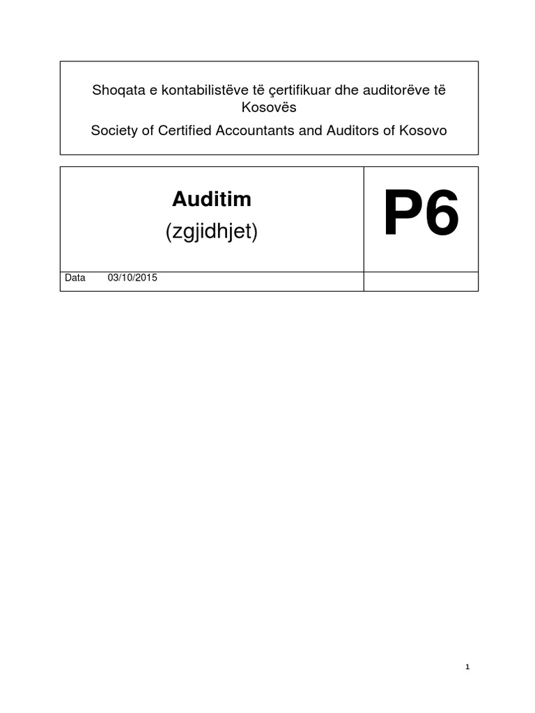 P6 Auditimi | PDF