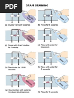 Skin Scraping for Scabies & Mycosis | PDF