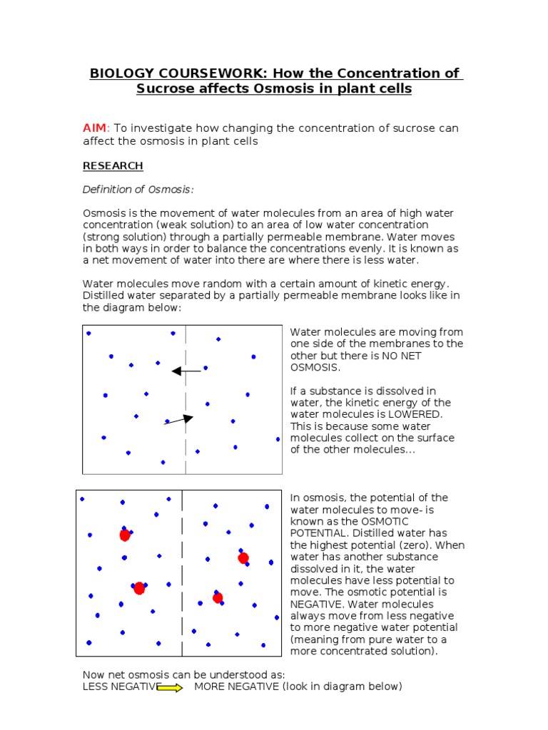 Ib biology internal assessment image
