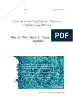 01 Atlas de Anatomía Vegetal. Tejidos