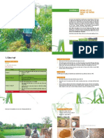 thiết lập hệ thống tưới để trồng cỏ chất lượng cao_Chương 2