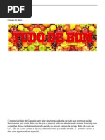 Receitas Sucos Desintoxicantes 02