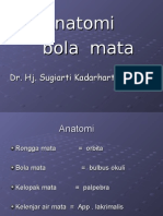 Anatomi Fisiologi Mata