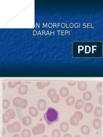 Kelainan Morfologi Sel Darah Tepi
