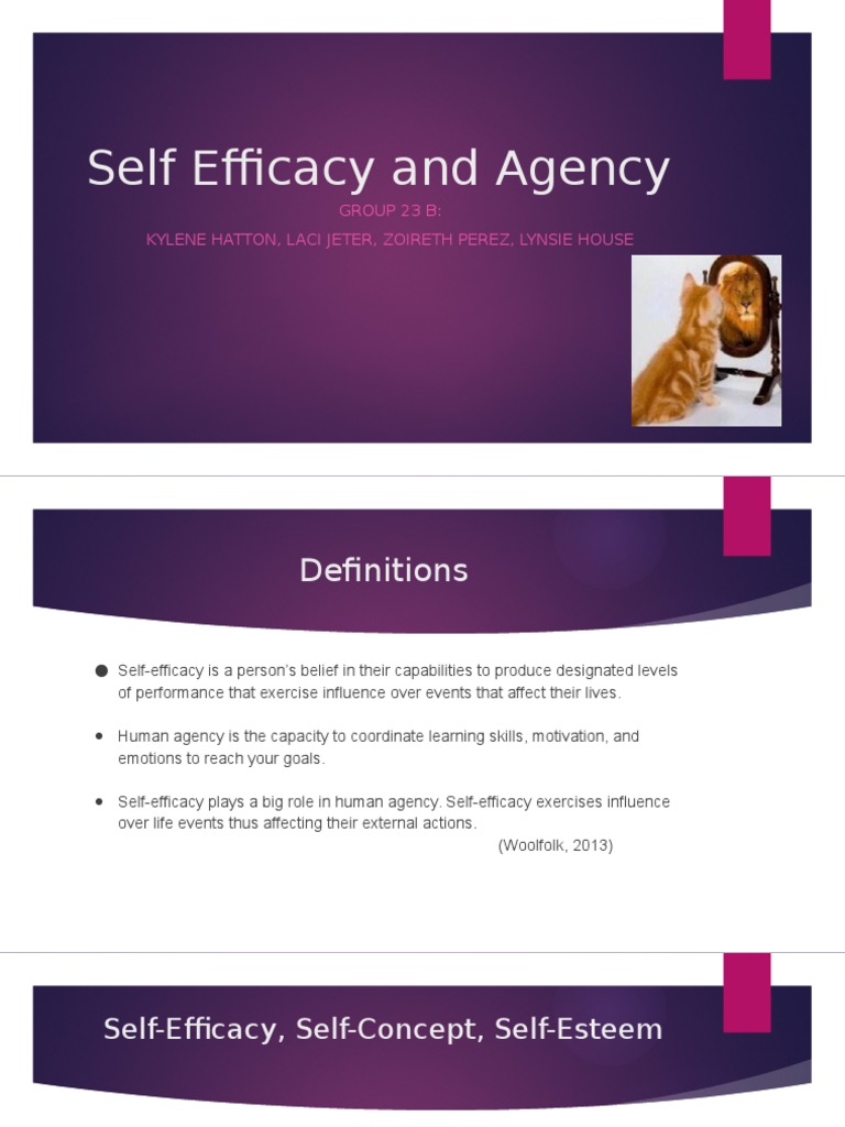 Self-Efficacy's Role in Education | PDF | Self Efficacy | Self Esteem
