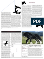 Newsletter Assignment Edit PDF