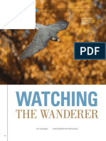 Watching the Wanderer