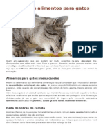 Melhores Alimentos Para Gatos