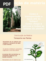 aulas sistemas transporte-I.pptx