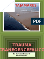 CRANEOENCEFALICO_NAZZAR