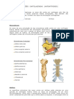 Aula de Anatomia - Sistema Articular - Anfiartroses (Cartilaginosas)