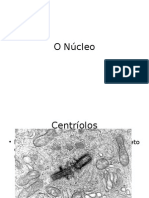 núcleo - mitose - meiose