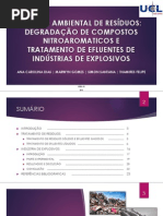 Tratamento de Efluentes de Industria de Explisivos
