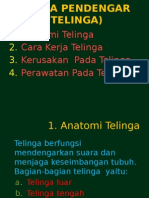 ppt telinga