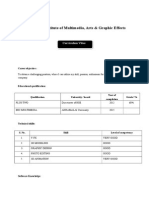 Institute of Multimedia, Arts & Graphic Effects: Curriculum Vitae