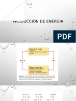 Produccion de Energia