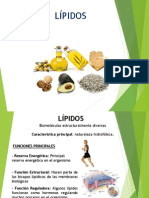 LIPIDOS (Quimica)