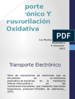 Transporte Electrónico Y Fosforilación Oxidativa