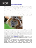 Download Lutung Jawa by arnesanggita SN290525208 doc pdf