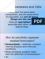 7.4 homeostasis